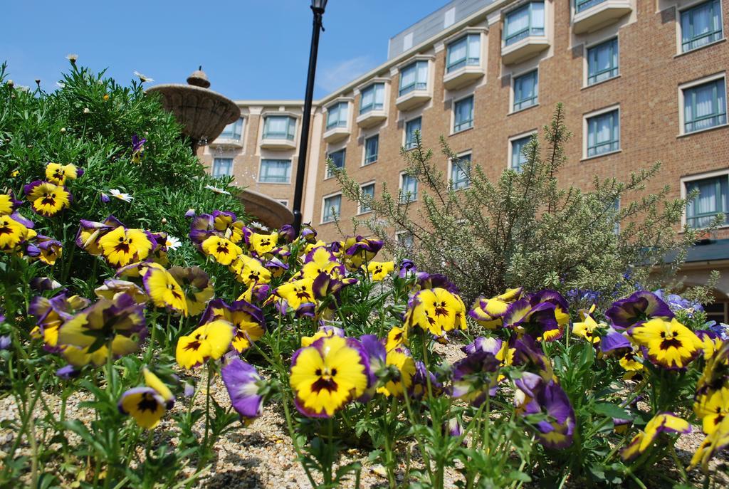 Royal Oak Hotel Spa & Gardens Otsu Eksteriør bilde